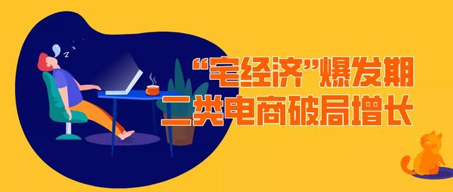 “宅经济”爆发期，二类电商破局增长