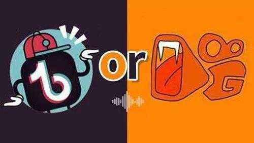 Q3 抖音 VS 快手 媒体广告投放分析，短视频流量哪家强？